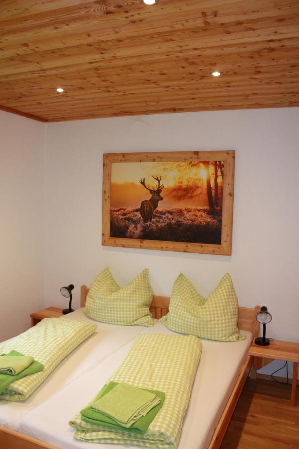 Chalet Ferienhaus Radmer Radmer an der Hasel Екстер'єр фото