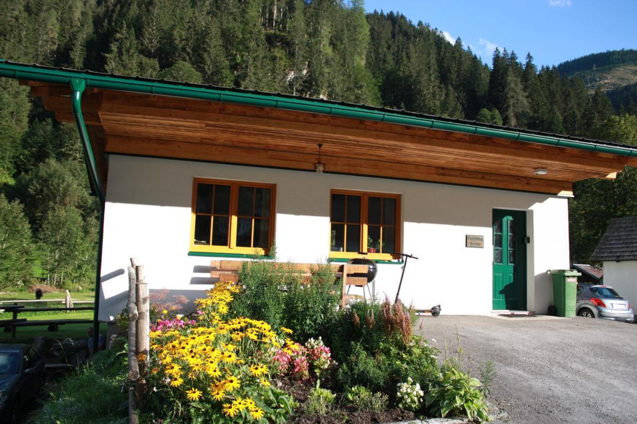Chalet Ferienhaus Radmer Radmer an der Hasel Екстер'єр фото