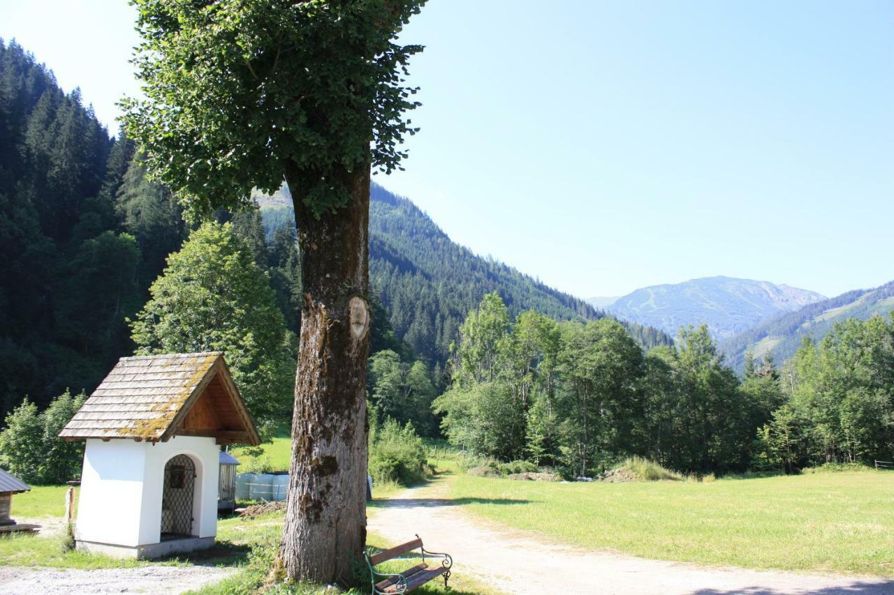 Chalet Ferienhaus Radmer Radmer an der Hasel Екстер'єр фото